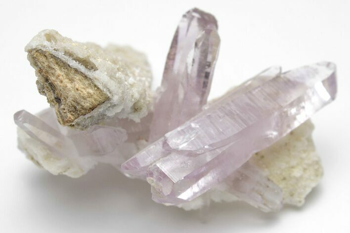 Amethyst Crystal Cluster - Las Vigas, Mexico #204531